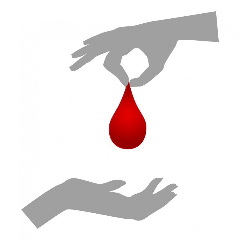 Is donating "blood" correct?